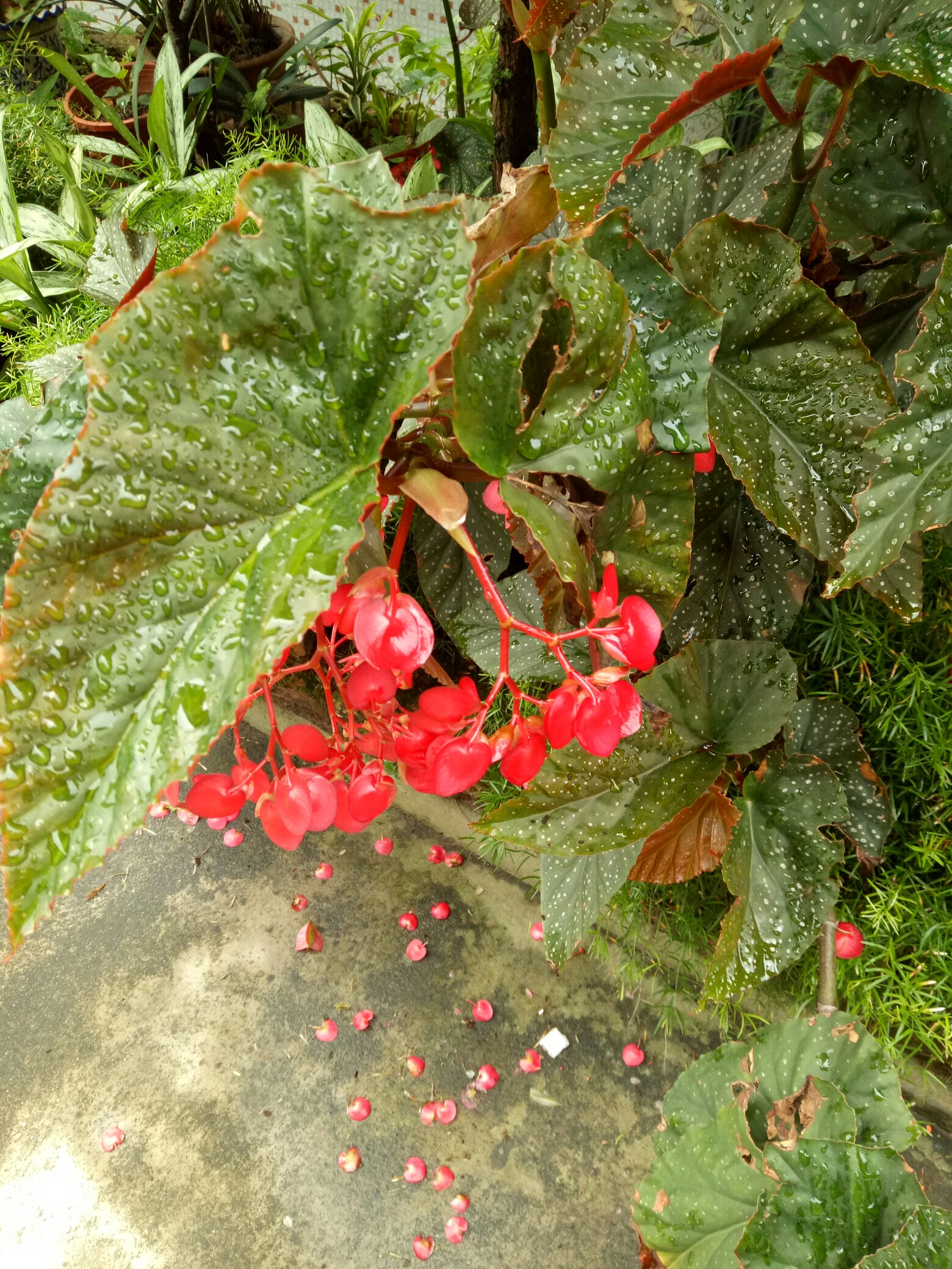 关于=G!咂8??砿?Y8虂&amp;酙L]p羵7,#似嶚咽c]?灘.g?綴?澷;绉h?L?憝?氂c旿强聻??莸???9y飖胘?簼的信息-英雄联盟比赛竞猜